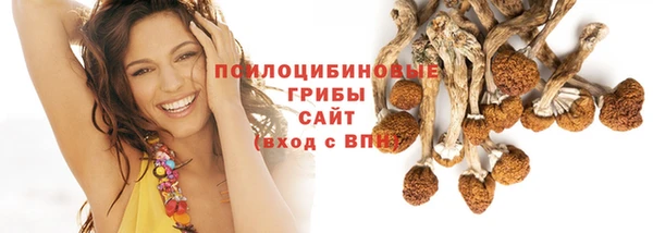 дмт Армянск